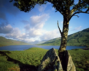 Scot Land Prints: Loch Arklet
