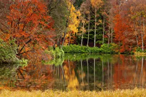Loch Dunmore Reflections in Autumn, Pitlochry, Tayside Region, Scotland