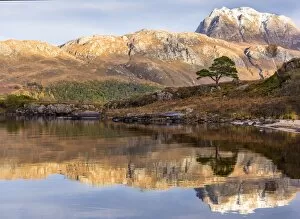 Images Dated 7th November 2016: Loch Maree reflections, Wester Ross, Highlands, Scotland