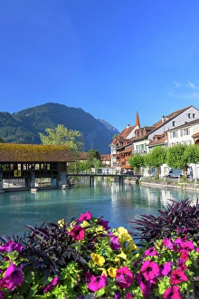 Aare River Prints: Mill lock on Aare River, Interlaken, Bern, Switzerland