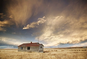 Albert A Prints: Lone building, Cardston, Alberta, Canada