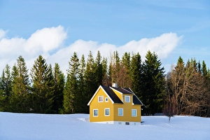 Log Cabin Prints: Lone colorful house in the snow surrounded by a forest, Senja, Troms county, Norway