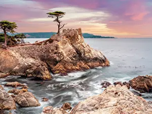Rocky Coast Prints: Lone Cypress, Pebble Beach, Monterey Peninsula, California, USA