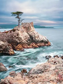 Rocky Coast Prints: Lone Cypress, Pebble Beach, Monterey Peninsula, California, USA