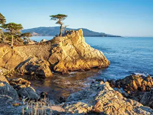 Rocky Coast Prints: Lone Cypress, Pebble Beach, Monterey Peninsula, California, USA
