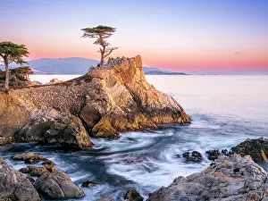 Monterey Prints: Lone Cypress, Pebble Beach, Monterey Peninsula, California, USA