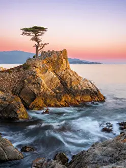 Monterey Prints: Lone Cypress, Pebble Beach, Monterey Peninsula, California, USA