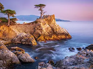 Rocky Coast Prints: Lone Cypress, Pebble Beach, Monterey Peninsula, California, USA