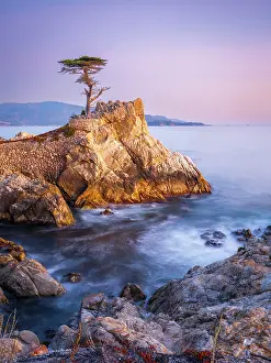 Monterey Prints: Lone Cypress, Pebble Beach, Monterey Peninsula, California, USA