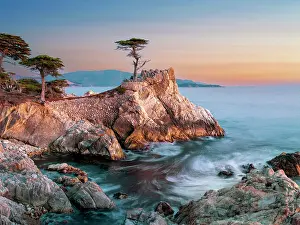Rocky Coast Prints: Lone Cypress, Pebble Beach, Monterey Peninsula, California, USA