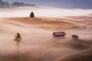 Rural Scene Prints: Lone mountain hut on rolling meadows in autumn fog