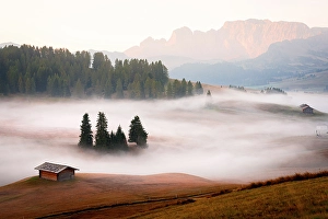 Lone mountain hut surrounded by autumn woods in the mist, Seiser Alm, Dolomites, South Tyrol, Italy