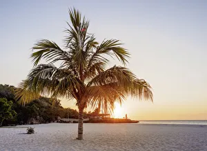 Holguin Province Prints: Lone Palm Tree at Guardalavaca Beach, sunset, Holguin Province, Cuba