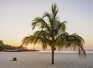 Lone Palm Tree at Guardalavaca Beach, sunset, Holguin Province, Cuba