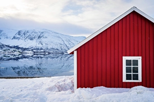 Built Structure Prints: Lone red rorbu on snowy coastline along the Langfjord