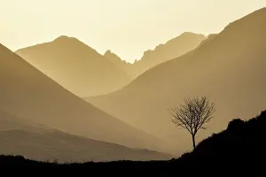 Lone Tree Prints: Lone tree and the Cuillin Hills, Glen Varragill, Isle of Skye, Scotland, UK, February 2025
