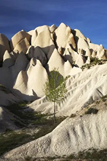 Drought Prints: Lone Tree & Eroded Tufa Formations, near Goreme, Cappadocia, Turkey