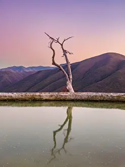 Formation Prints: Lone Tree by the pool, Hierve el Agua, dusk, San Lorenzo Albarradas, Oaxaca State, Mexico