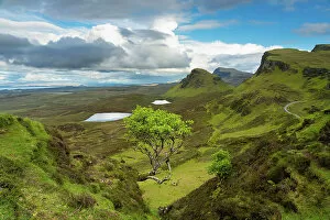 Lone tree at Quiraing with views of Loch Leum nu Luirginn and Loch Cleat, Isle of Skye, Highland Region, Scotland