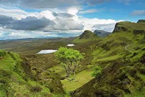 Geography Prints: Lone tree at Quiraing with views of Loch Leum nu Luirginn and Loch Cleat