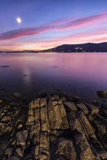 Varese District Prints: A lonely tree at the Arolo pier during an autumnal sunset, Arolo, Leggiuno, Lake Maggiore