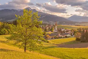 Tiroler Prints: A lonely tree in the hills surrounding the little village of Vill at sunset, Innsbruck