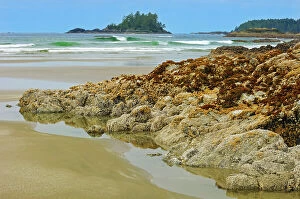 Images Dated 11th July 2023: Long Beach Pacific Rim National Park, British Columbia, Canada