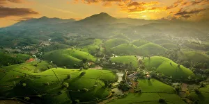 Long Coc tea estates, Phu Tho Province, Vietnam