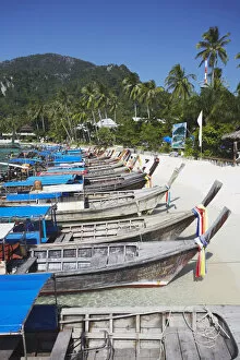 Images Dated 17th February 2010: Long tail boats on Ao Ton Sai beach, Ko Phi Phi Don, Thailand