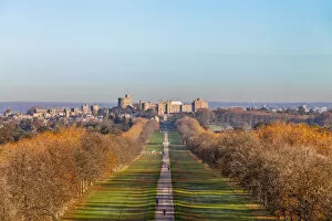 Images Dated 22nd January 2021: The Long Walk and Windsor Castle, Windsor Great Park, Windsor, Berkshire, United Kingdom