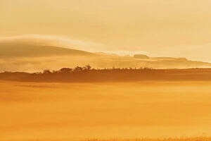 Images Dated 5th June 2023: Looing east at sun rising over the prairie in fog Waterton Lakes National Park, Alberta, Canada