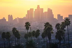 Southern California Prints: Los Angeles Downtown and palm trees at sunset. This is a classic view of the city of