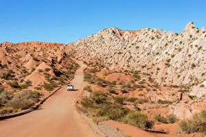 Argentinian Prints: Los Cardones National Park, Salta, Argentina