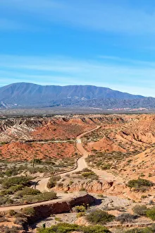 Los Cardones National Park, Salta, Argentina