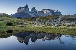 Images Dated 26th November 2019: Los Cuernos mountains reflecting in a puddle after sunset, Torres del Paine National Park