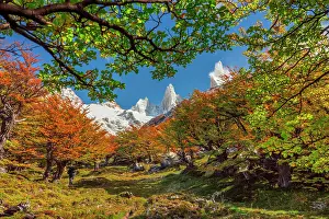 Moutnains Prints: Los Glaciares National Park near El Chalten with Fitzroy peak in the background