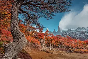 Moutnains Prints: Los Glaciares National Park near El Chalten with Fitzroy peak in the background