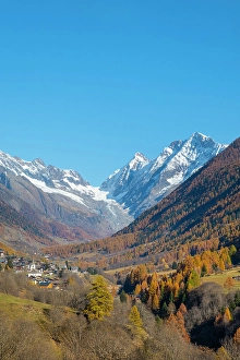 Larch Prints: Lotschental Valley looking towards Kippel village, Valais, Switzerland