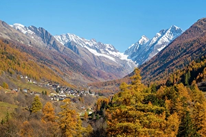 Larch Prints: Lotschental Valley looking towards Kippel village, Valais, Switzerland