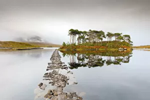Irish Gallery: Lough Inagh lake with Pines Island, Connemara, County Galway, Connacht province, Ireland