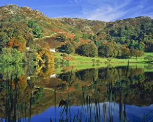 Tarn Prints: Loughrigg Tarn Reflections, Lake District National Park, Cumbria, England