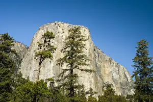 The Captain Prints: Low angle view of El Capitan summit against clear sky at Yosemite National Park on sunny