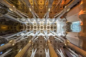 Low angle view of the roof in the nave, Sagrada Familia, Barcelona, Catalonia, Spain
