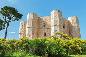 Fortified Wall Prints: Low angle view of the white castle of Castel del Monte among yellow flower
