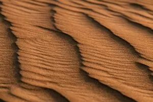 Sharqiyah Collection: Low light and shadows highlight ridges made by the wind in the sand dunes