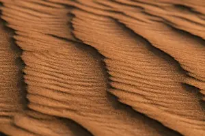 Ridges Prints: Low light and shadows highlight ridges made by the wind in the sand dunes