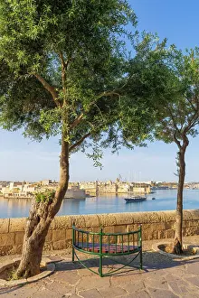 Maltese Prints: Lower Barakka Garden, Valletta, Malta