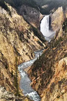 Lower Yellowstone falls, Yellowstone National Park, Wyoming, USA