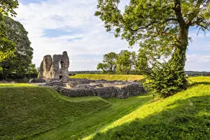 Images Dated 3rd February 2022: Ludgershall Castle & Cross, Ludgershall, Wiltshire, England, United Kingdom