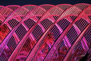 Valencia Prints: L'Umbracle covered garden, floodlit at night